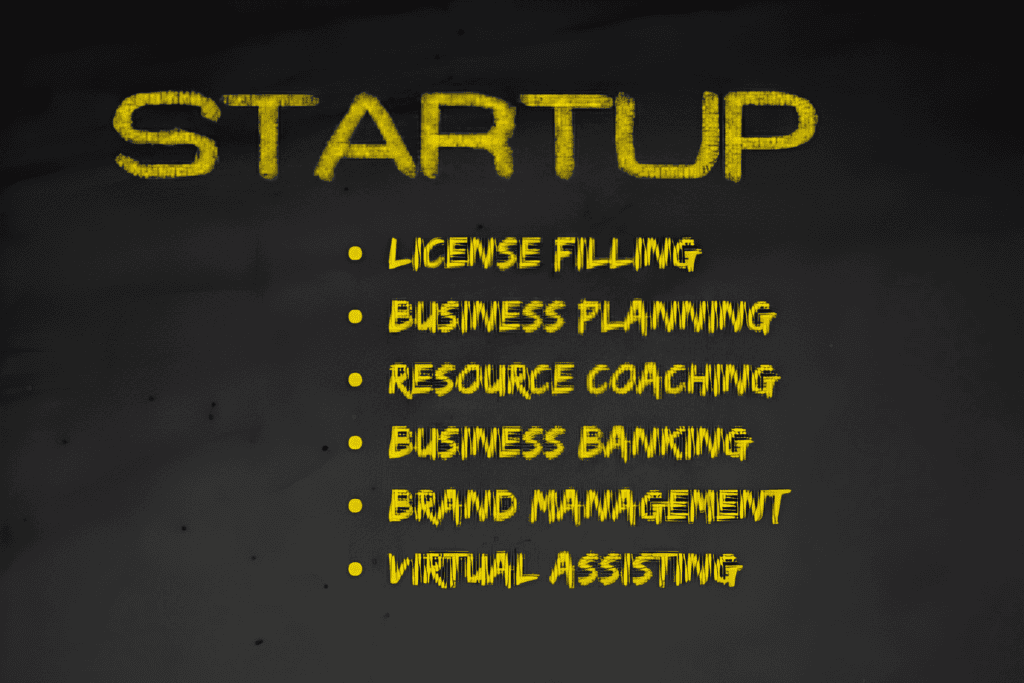 Start Up Services